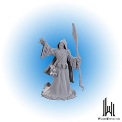 D&D Nolzur's Marvelous Miniatures: Star Spawn Larva Mage